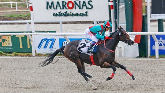 Enjoy hizo suyo el Clásico José Shaw (L)