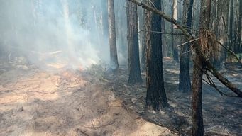 Incendio forestal en laguna Negra, Rocha. Foto: Bomberos.