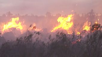 incendios forestales activos en cinco provincias argentinas