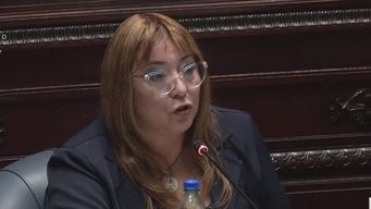 moreira reclamo al gobierno de una vez por todas medidas de fondo para la frontera