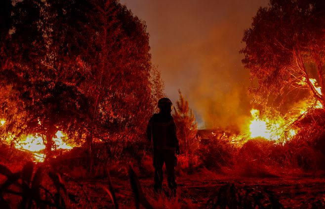 Incendios en Chile. Foto: AFP