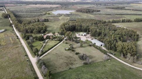 Diputado colorado solicitó comisión investigadora por compra de la estancia María Dolores