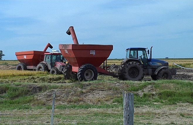 cosechadora-tractor-campo-cultivo.jpg
