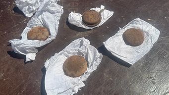 brigada antiexplosivos intervino ante hallazgo de cuatro detonadores sobre una via ferrea