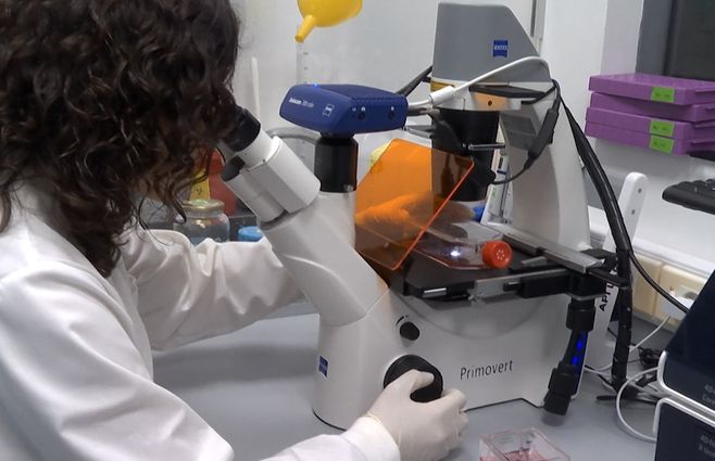 pasteur-laboratorio-instituto