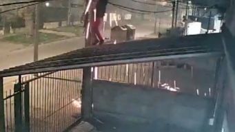 vecinos de bella italia denuncian ola de robo de cables; ladrones se cuelgan de las columnas para robar cobre