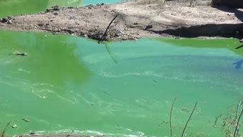 ministerio de ambiente monitorea situacion ante presencia de cianobacterias en varios puntos del pais