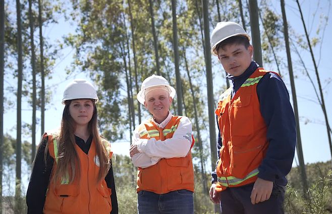 nova-ferrando-forestal.jpg