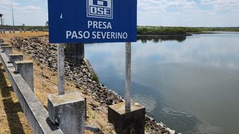 ¿que dice el ultimo informe del agua de ose y el nivel de reserva de paso severino?
