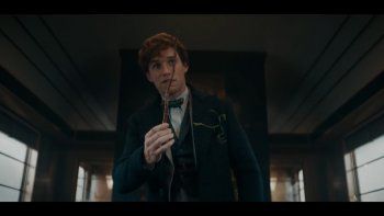 Subrayado | ANIMALES FANTÁSTICOS