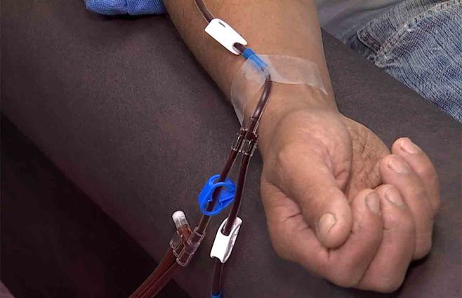 plasma-donar-sangre-covd.jpg