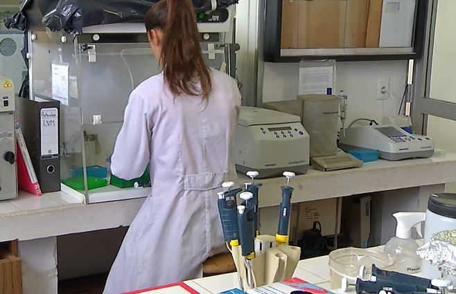 LABORATORIO--GRIPE-AVIAR--.jpg