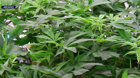 Condena a 4 años y 4 meses de cárcel por contrabando de marihuana a Brasil, maniobra en la que participaba el PCC