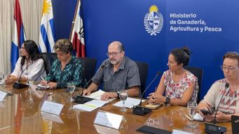 investigan caso de mortandad de aves en establecimiento comercial en canelones y buscan determinar si es por gripe aviar