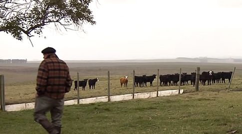 Inspección General del Trabajo presentó denuncia en Fiscalía por la muerte de un trabajador rural alcanzado por un rayo