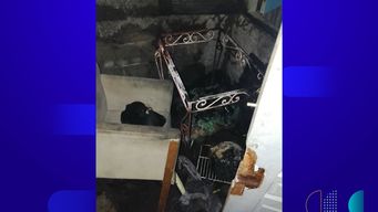 hombre denuncia negligencia en atencion de su pareja, paciente psiquiatrica, en capitan tula