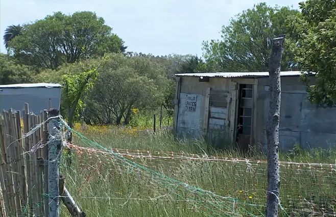Fideicomiso para asentamientos.