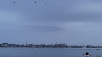 Imagen de archivo de Galveston, la ciudad donde se accidentó la aeronave. Foto: AFP