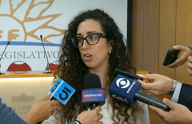 ines-cortes-diputada-frente-amplio