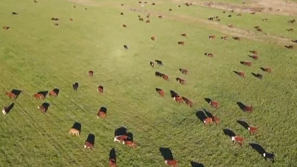 Presentan censo agropecuario 2024: hay 41.918 explotaciones en el país, frente a las 44.781 del año 2011