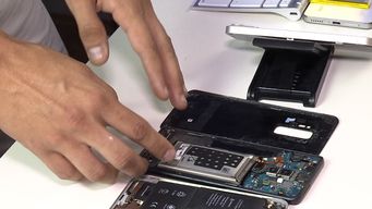 las altas temperaturas tambien afectan a los celulares y tecnico dio consejos sobre como evitar que se estropeen