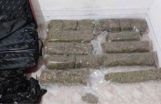 marihuana-valijas-Chuy-Rocha.jpg