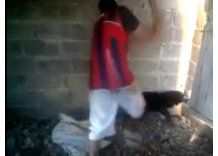 Proyecto prevé prisión para quienes maltraten animales