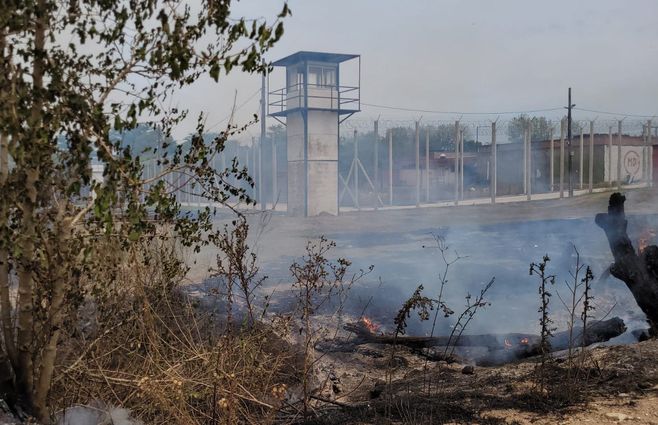 El fuego ingresó a la ex Colonia Berro y obligó a evacuar internos.