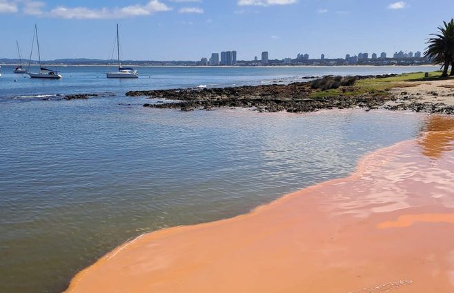 mancha-en-punta-del-este-foto-intendencia-de-maldonado
