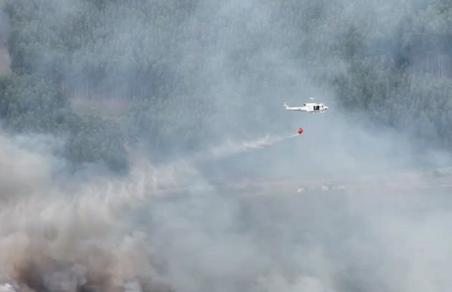 Foto: Bomberos. Combate de incendio forestal en cerro cerca de Minas.