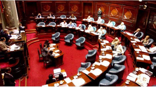 senado
