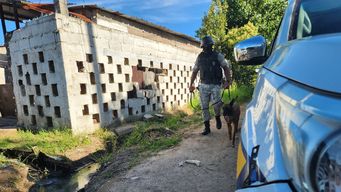 policia de canelones hizo diez allanamientos e incauto pasta base, marihuana y armas; hay detenidos