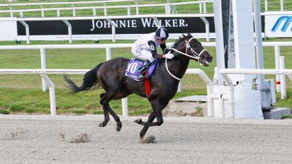 fitzgerald se consagro campeon millero