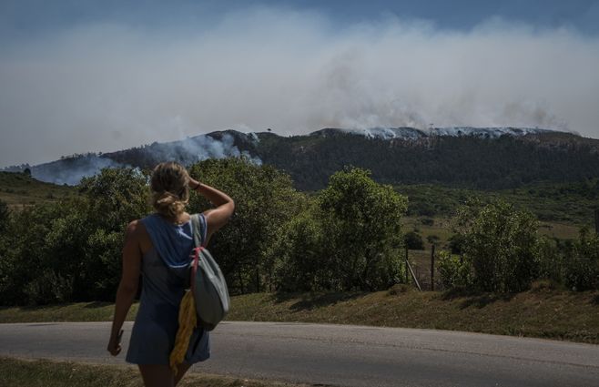 INCENDIO CERRO DEL TORO FOCO UY (2).jpeg