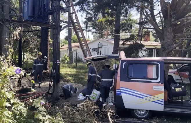 ute-arreglos-maldonado-