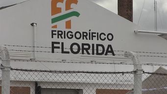 frigorifico florida retomara su operativa en las proximas semanas tras varios anos de cierre