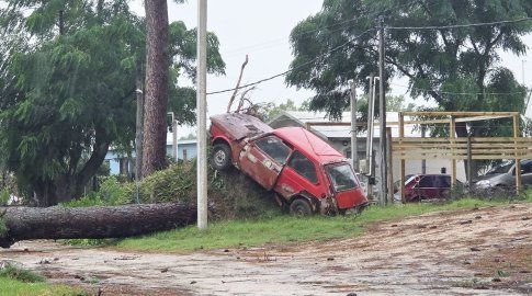 Una de las llamadas de emergencia fue por un árbol que cayó en Salinas (foto) y afectó al auto que estaba al lado. Foto: Eduardo Castro, Subrayado.