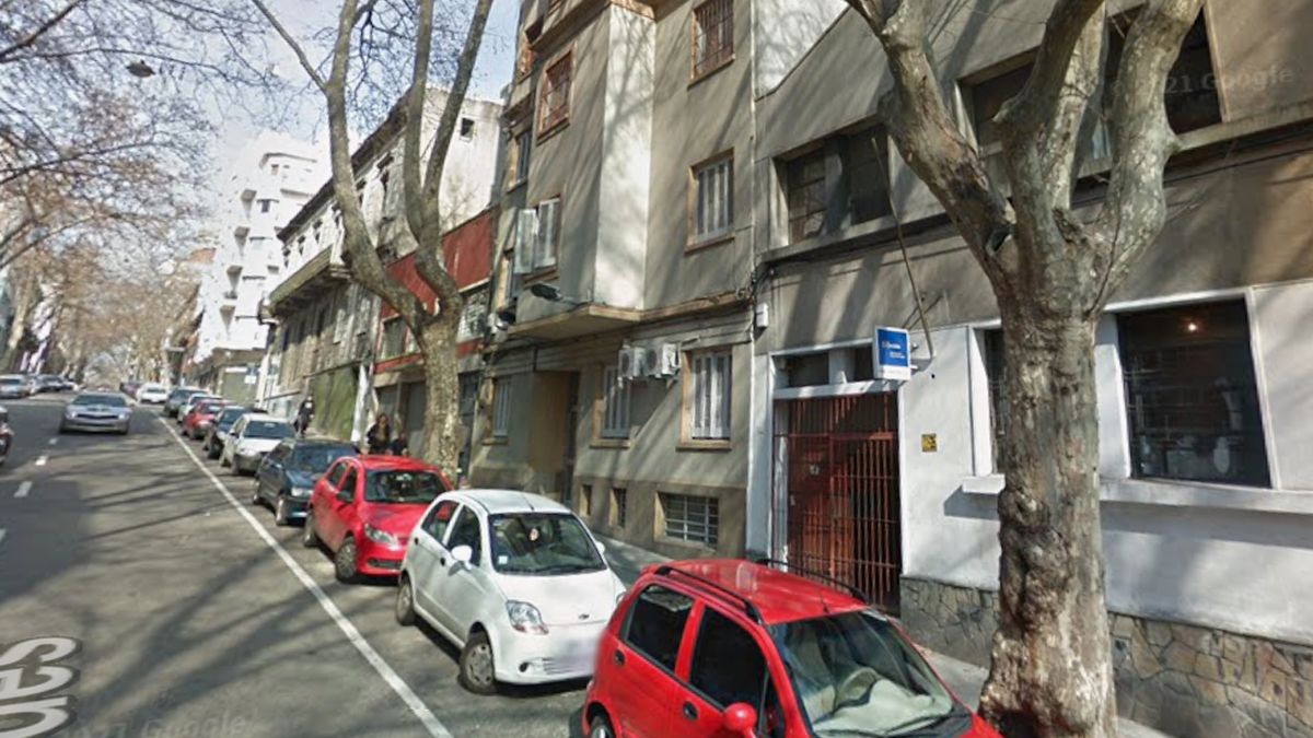 Hay una veintena de gatos abandonados en apartamento del Centro: IMM, INBA y Defensoría del Vecino trabajan en el tema
