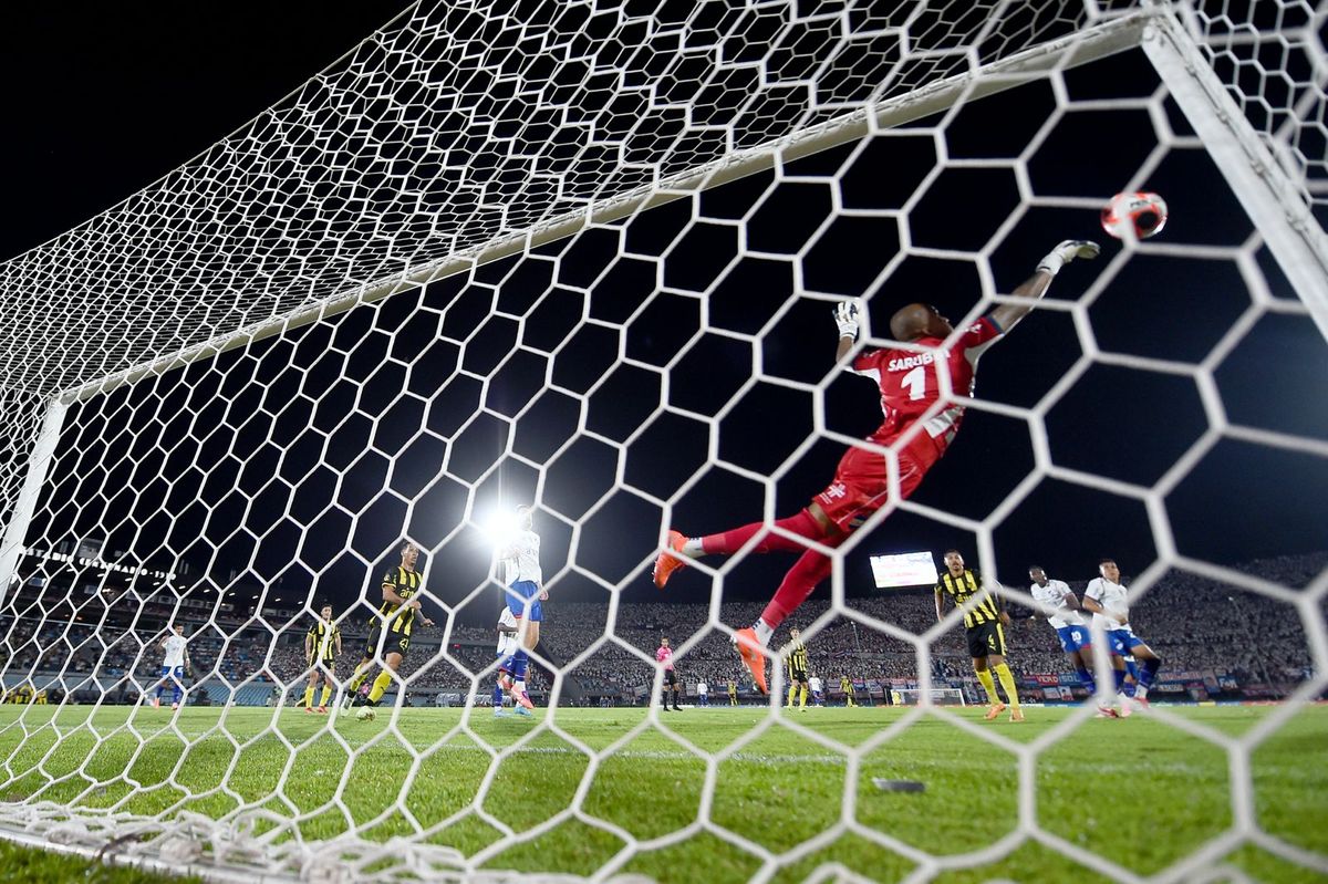 WhatsApp Image 2026-02-01 at 21.01.25