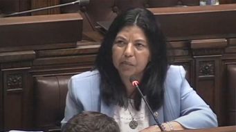 la diputada elsa capillera sufrio un siniestro de transito en paso de los toros