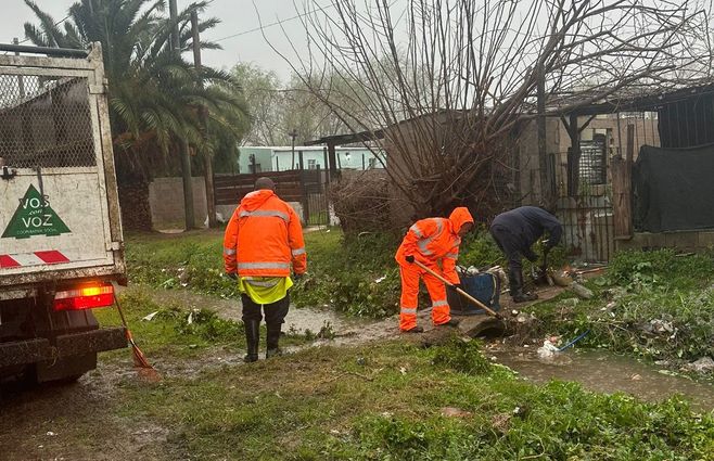 imm-limpiando-cunetas.jpg