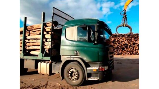 Gobierno: UPM “aceleró” producción y tendrá que paralizar tareas