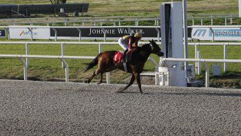 Subrayado | 9 MICRO TURF 13 D AGO