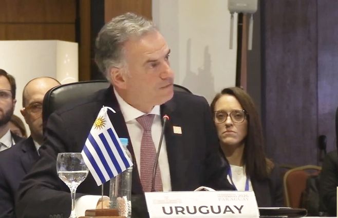 Orsi en la Cumbre del Mercosur de Paraguay. Foto: captura de pantalla de la transmisión oficial.