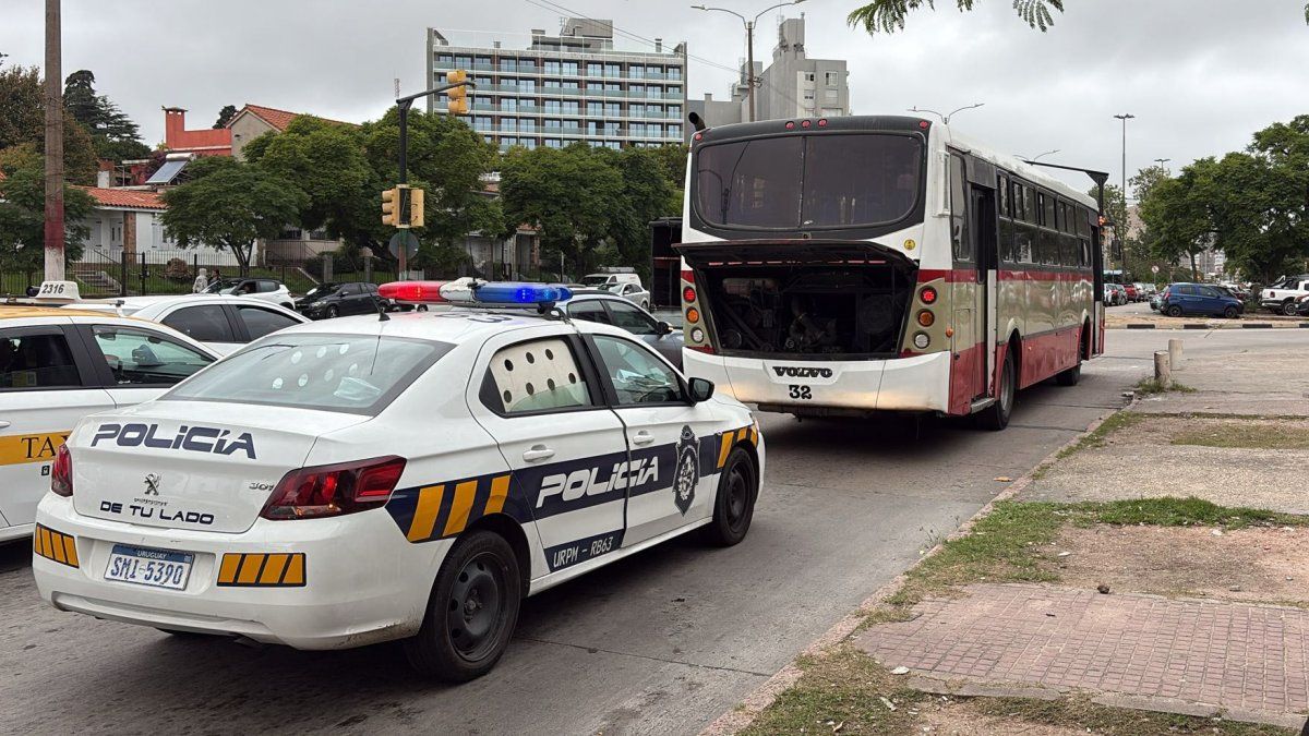 Mujer de 70 años bajó de un ómnibus, trastabilló hacia la calle y fue atropellada: murió en una ambulancia