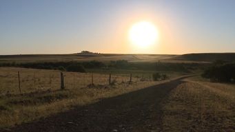 domingo despejado con presencia de sol, segun nubel cisneros