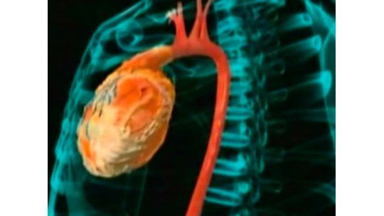 Terapia celular y medicina regenerativa en el Clínicas