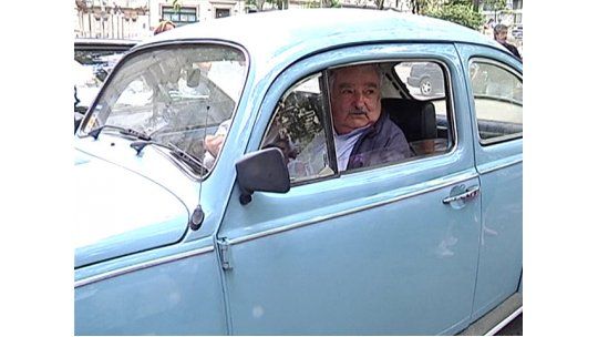 Mujica Fusca celeste