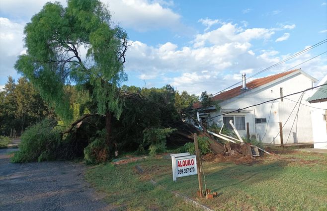 tormenta piriapolos (3).jpeg