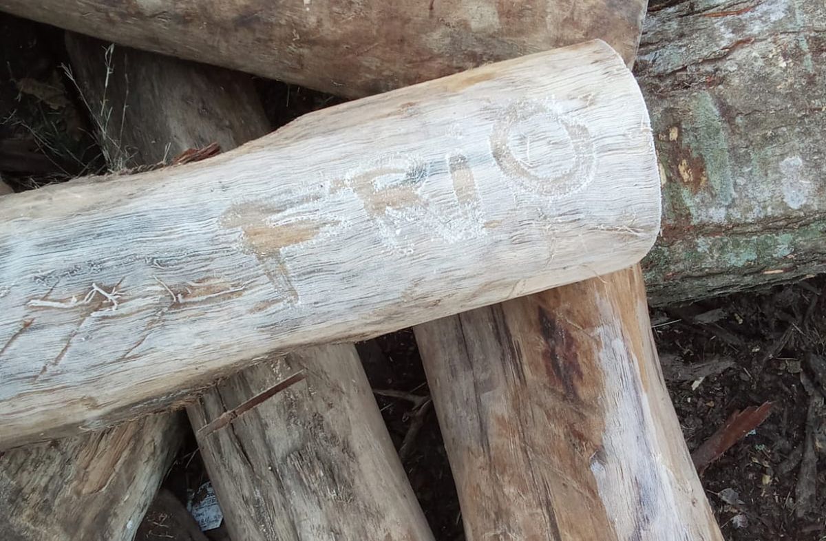 Frío, con heladas, neblinas y posibilidad de lluvias aisladas; así estará el tiempo de acá al viernes